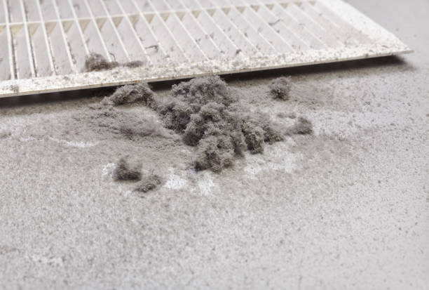 Best Local Air Duct Cleaning Services  in Ventnor City, NJ